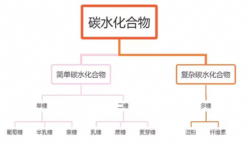 当着全班面被C到高潮哭视频